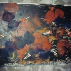 A156 On the Cutting Edge.jpg